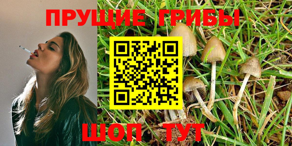 Галлюциногенные грибы Magic Shrooms  Вход с VPN  Чистополь  Галлюциногенные грибы ЛСД 