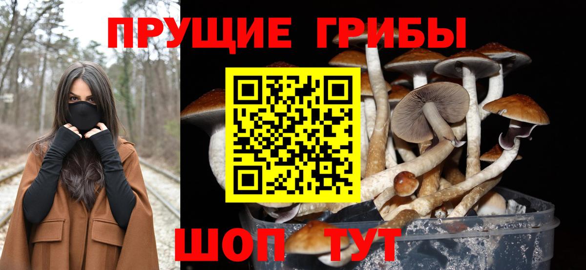 Галлюциногенные грибы Magic Shrooms Чистополь